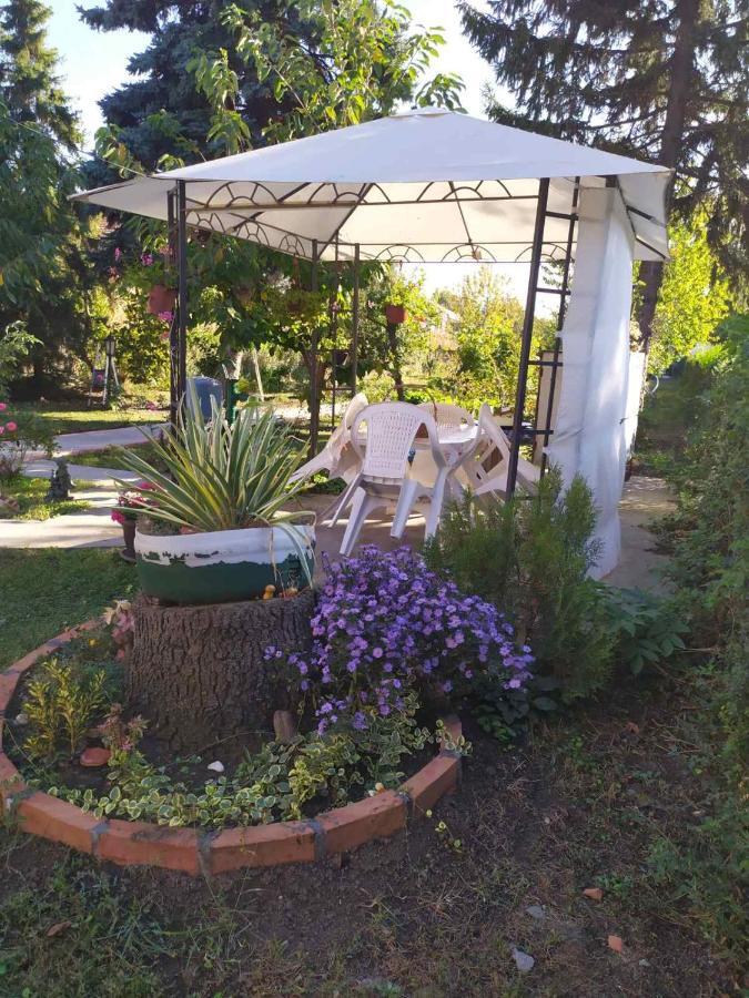 Apartment Ljupka Pancevo Luaran gambar