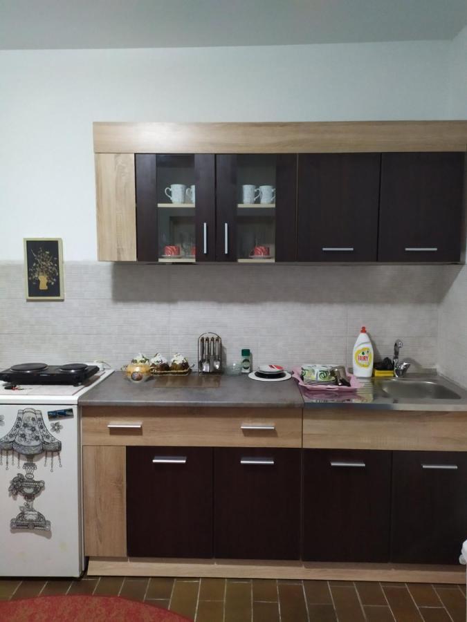 Apartment Ljupka Pancevo Luaran gambar